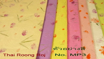 ��д������´͡��� ��Ҵ 55*79��. No. MP3